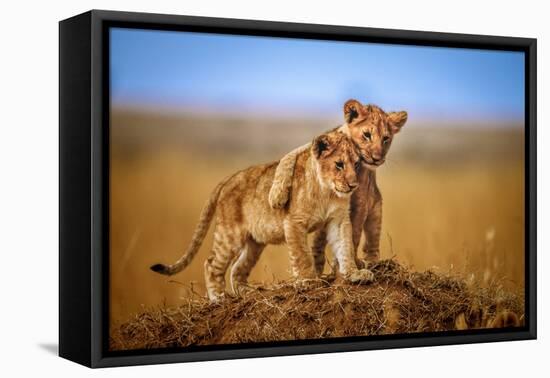 Brothers for Life-Jeffrey C. Sink-Framed Stretched Canvas