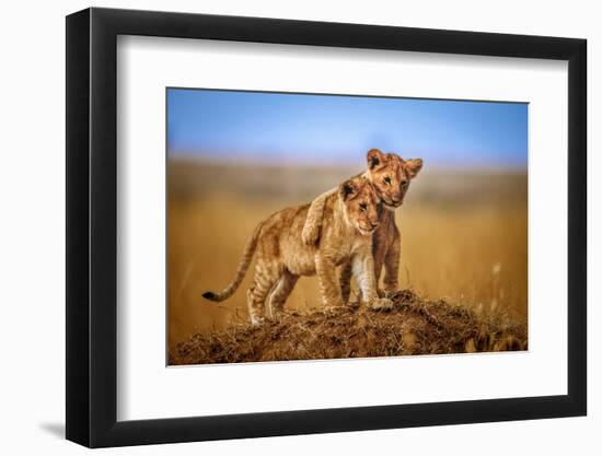 Brothers for Life-Jeffrey C. Sink-Framed Photographic Print