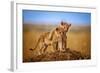 Brothers for Life-Jeffrey C. Sink-Framed Photographic Print