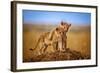 Brothers for Life-Jeffrey C. Sink-Framed Photographic Print