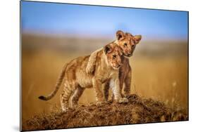 Brothers for Life-Jeffrey C. Sink-Mounted Photographic Print