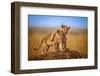 Brothers for Life-Jeffrey C. Sink-Framed Premium Photographic Print