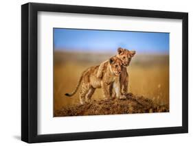 Brothers for Life-Jeffrey C. Sink-Framed Premium Photographic Print