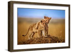 Brothers for Life-Jeffrey C. Sink-Framed Photographic Print