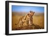 Brothers for Life-Jeffrey C. Sink-Framed Photographic Print