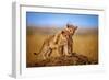 Brothers for Life-Jeffrey C. Sink-Framed Photographic Print