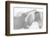 Brothers Forever-Doug Chinnery-Framed Photographic Print