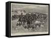 Brothers in Arms, a Mixed Gun Detachment at Waterval-John Charlton-Framed Stretched Canvas