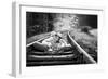 Brothers Love-Tatyana Tomsickova-Framed Photographic Print