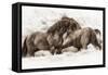 Brothers-Lisa Dearing-Framed Stretched Canvas
