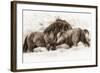 Brothers-Lisa Dearing-Framed Photographic Print