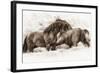 Brothers-Lisa Dearing-Framed Photographic Print