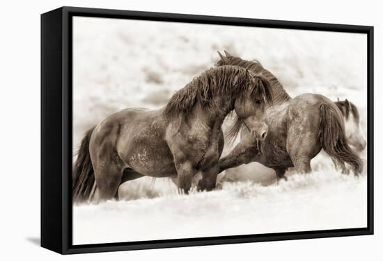 Brothers-Lisa Dearing-Framed Stretched Canvas