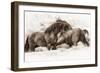 Brothers-Lisa Dearing-Framed Photographic Print