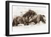Brothers-Lisa Dearing-Framed Photographic Print