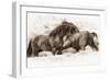 Brothers-Lisa Dearing-Framed Photographic Print