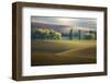 Brothers...-Krzysztof Browko-Framed Photographic Print