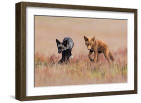 Brothers-Jun Zuo-Framed Giclee Print