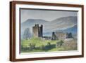 Brown Frame