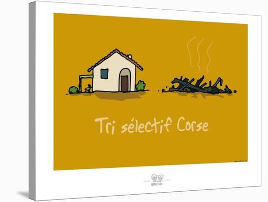 Broutch - Tri sélectif corse-Sylvain Bichicchi-Stretched Canvas