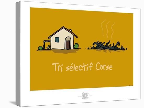 Broutch - Tri sélectif corse-Sylvain Bichicchi-Stretched Canvas