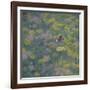 Brown Argus - After Photo by Sara Crow-Ruth Addinall-Framed Giclee Print