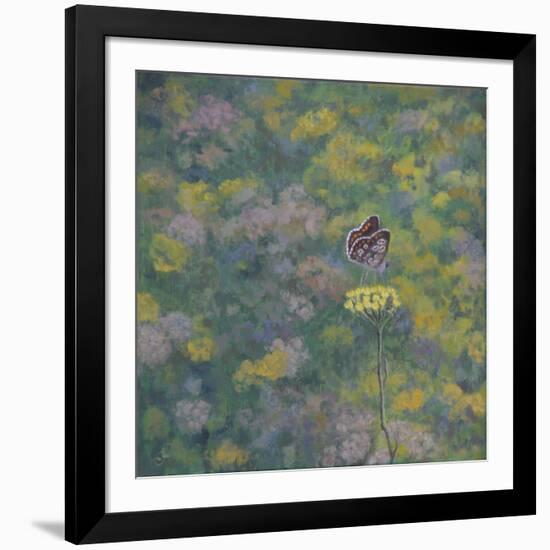 Brown Argus - After Photo by Sara Crow-Ruth Addinall-Framed Giclee Print