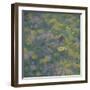 Brown Argus - After Photo by Sara Crow-Ruth Addinall-Framed Giclee Print