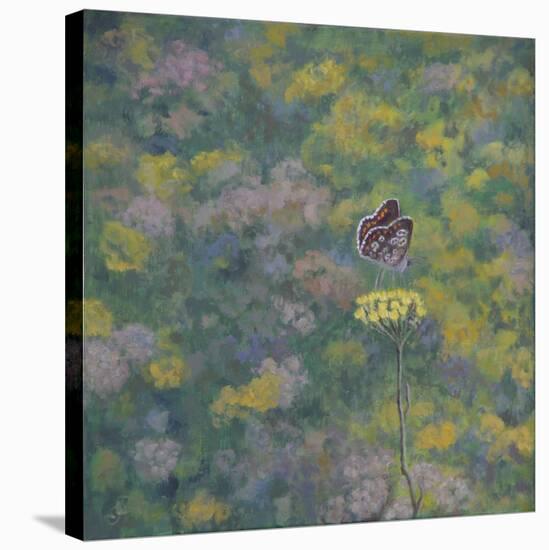 Brown Argus - After Photo by Sara Crow-Ruth Addinall-Stretched Canvas