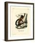 Brown-Backed Bearded Saki-null-Framed Giclee Print