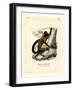 Brown-Backed Bearded Saki-null-Framed Giclee Print