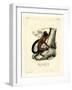 Brown-Backed Bearded Saki-null-Framed Giclee Print