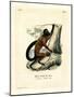 Brown-Backed Bearded Saki-null-Mounted Giclee Print