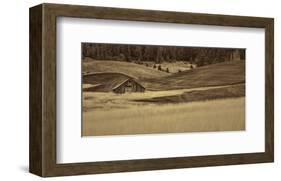 Brown Barn in the Blonde Gra-Don Schwartz-Framed Art Print