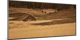 Brown Barn in the Blonde Gra-Don Schwartz-Mounted Art Print