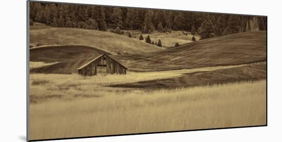 Brown Barn in the Blonde Gra-Don Schwartz-Mounted Art Print