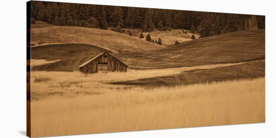 Brown Barn in the Blonde Gra-Don Schwartz-Stretched Canvas