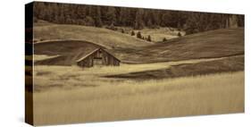 Brown Barn in the Blonde Gra-Don Schwartz-Stretched Canvas