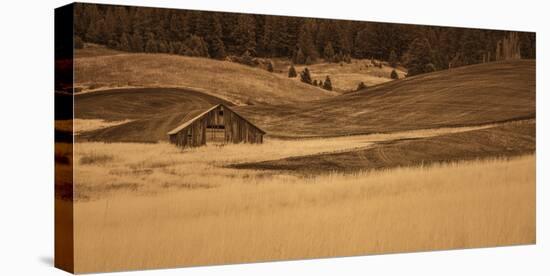 Brown Barn in the Blonde Gra-Don Schwartz-Stretched Canvas