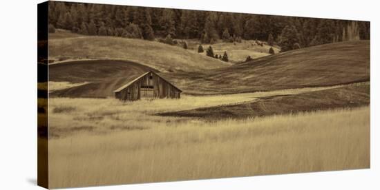 Brown Barn in the Blonde Gra-Don Schwartz-Stretched Canvas