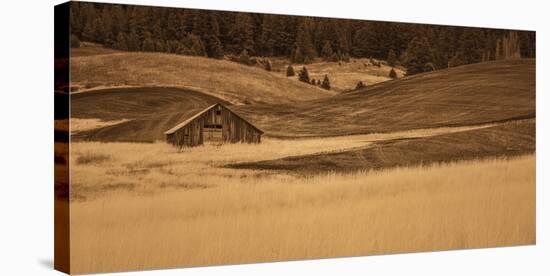 Brown Barn in the Blonde Gra-Don Schwartz-Stretched Canvas