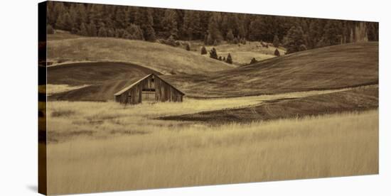 Brown Barn in the Blonde Gra-Don Schwartz-Stretched Canvas