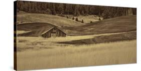 Brown Barn in the Blonde Gra-Don Schwartz-Stretched Canvas