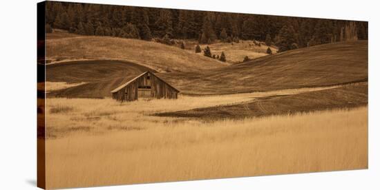 Brown Barn in the Blonde Gra-Don Schwartz-Stretched Canvas