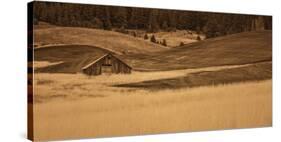 Brown Barn in the Blonde Gra-Don Schwartz-Stretched Canvas