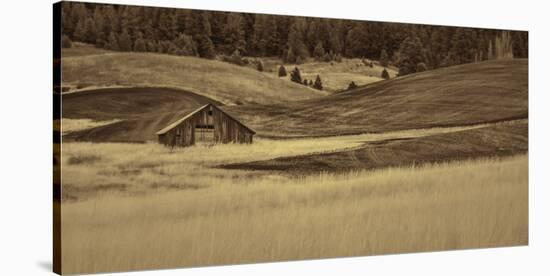 Brown Barn in the Blonde Gra-Don Schwartz-Stretched Canvas