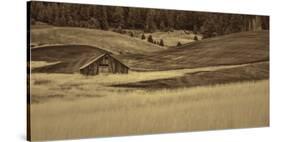 Brown Barn in the Blonde Gra-Don Schwartz-Stretched Canvas