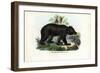 Brown Bear, 1863-79-Raimundo Petraroja-Framed Giclee Print