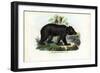 Brown Bear, 1863-79-Raimundo Petraroja-Framed Giclee Print