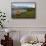 Brown Bear Along Stream at Hallo Bay in Katmai National Park-Paul Souders-Framed Stretched Canvas displayed on a wall